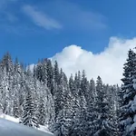 Sarajevo Nisici Vila Nature