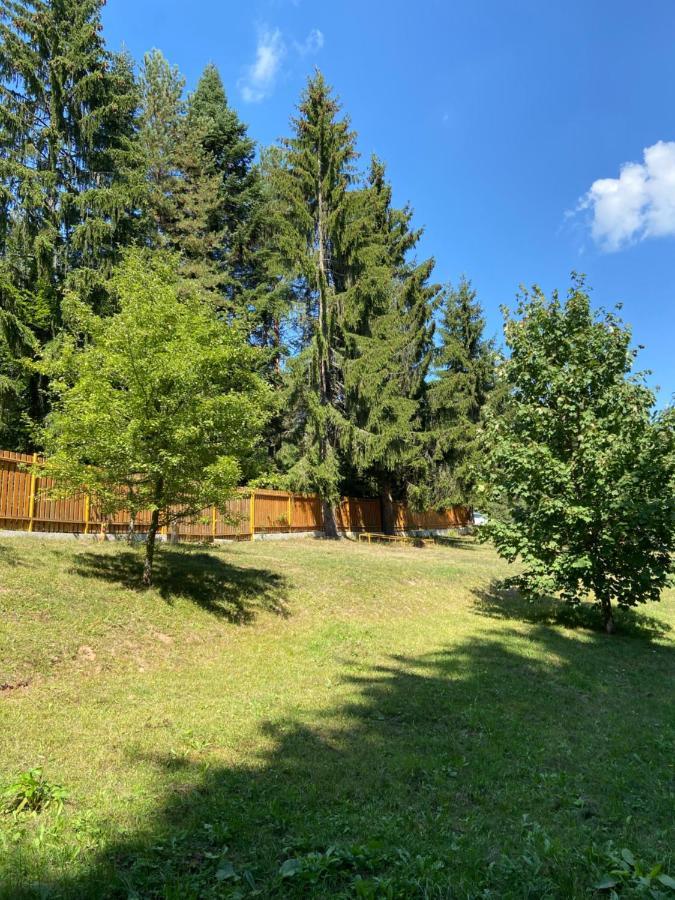 Villa Nisici Vila Nature Sarajevo