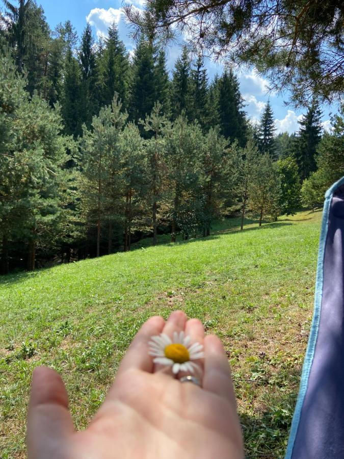 Nisici Vila Nature Villa *
