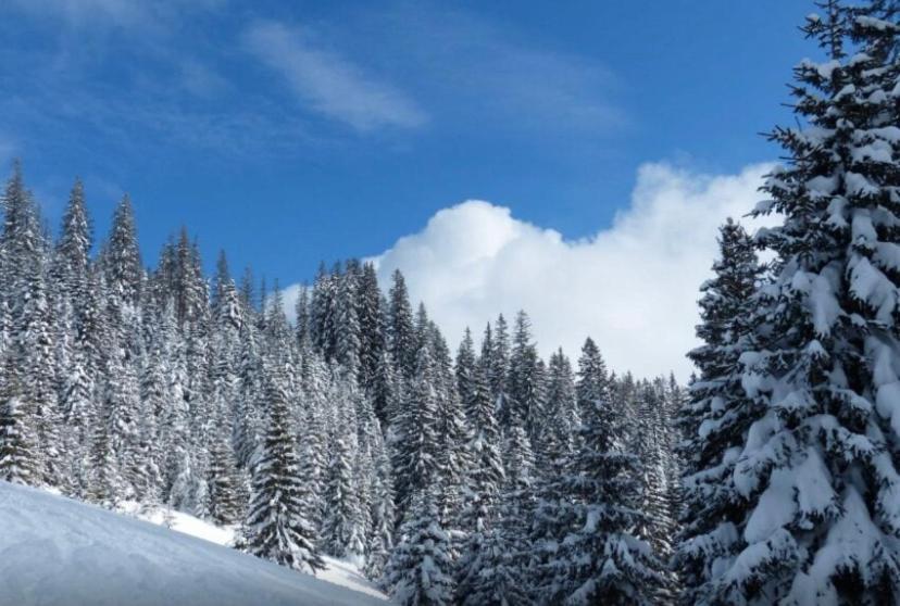 Villa Nisici Vila Nature Sarajevo